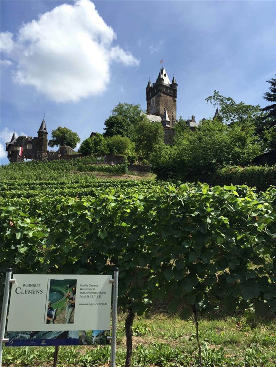 余教授德國鄉村行：摩澤爾河的葡萄魅力在哪兒？