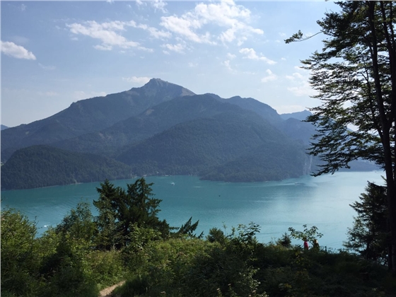 余教授奧地利鄉村行：萬(wàn)科為什么說(shuō)把奧地利小鎮搬回來(lái)？