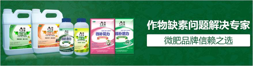 #微肥課堂#為什么葉面肥養分含量相同，效果卻不同？