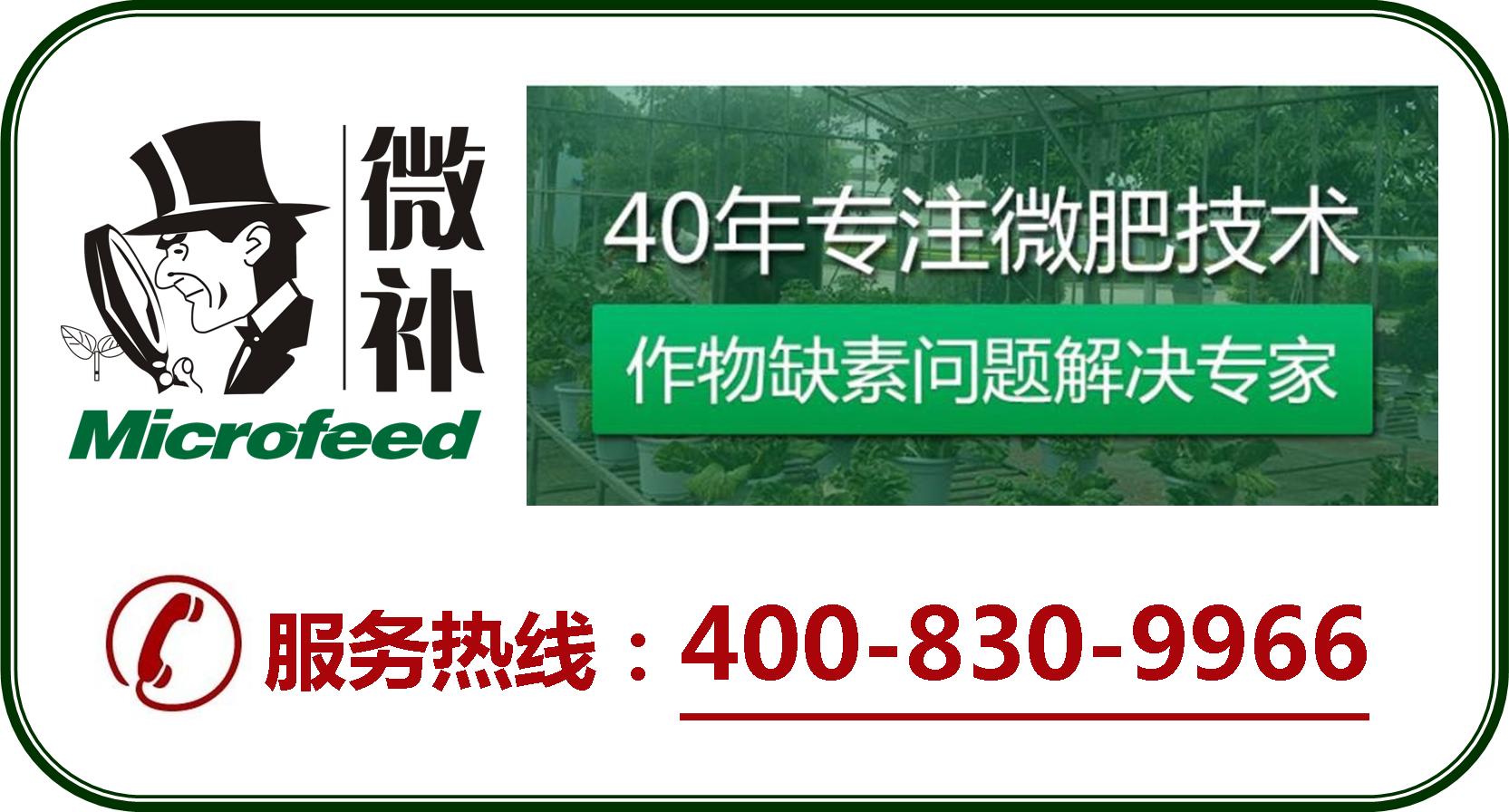 余教授德國鄉村行：摩澤爾河的葡萄魅力在哪兒？
