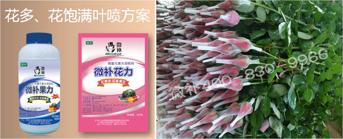 花卉也需要微補嗎？