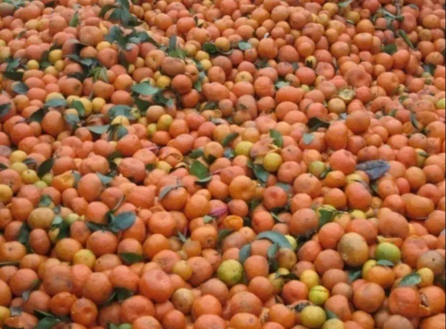 微信圖片_20191218154926.jpg 微信圖片_20191218154926.jpg