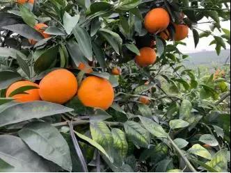 微信圖片_20200103143040.jpg 微信圖片_20200103143040.jpg