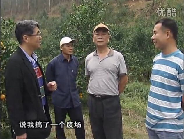 20160118珠江臺搖錢(qián)樹(shù)：貢柑用微補全年營(yíng)養方案，黃樹(shù)翻身還高產(chǎn)增果