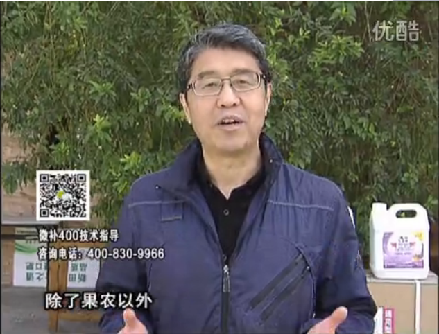 20160321珠江臺搖錢(qián)樹(shù)：柑橘用微補方案，百萬(wàn)收入不是夢(mèng)