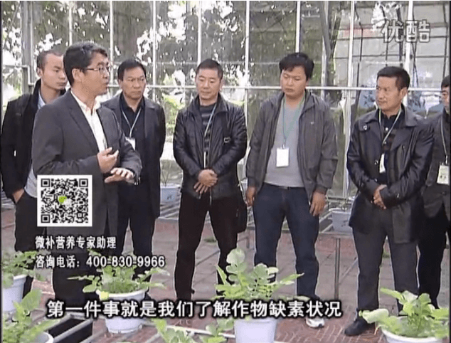 20160418珠江臺搖錢(qián)樹(shù)：和重慶種植業(yè)主走進(jìn)微補，探秘微補生產(chǎn)研發(fā)技術(shù)
