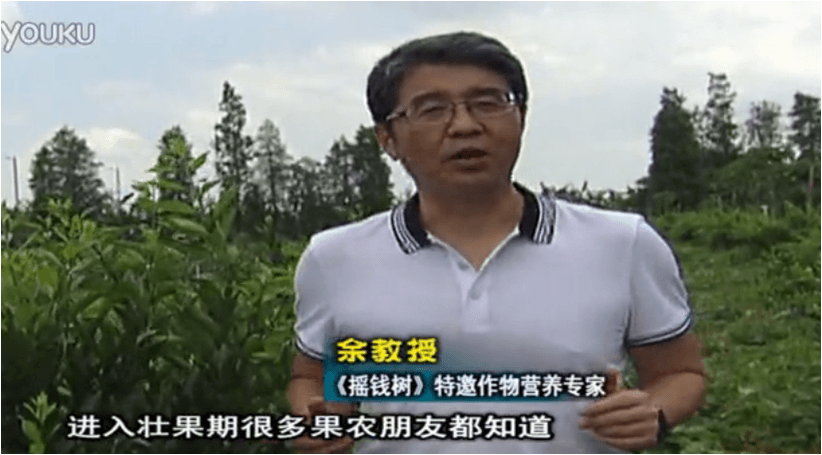 20160620珠江臺搖錢(qián)樹(shù)：柑橘淋微補調力、噴蓋力+壯力，調酸壯長(cháng)勢、膨果防裂好