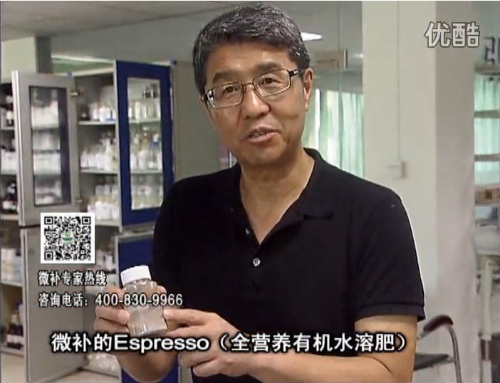 20160822珠江臺搖錢(qián)樹(shù)：柑橘秋梢淋沖因迪樂(lè )精華粉，補充有機營(yíng)養，健壯果樹(shù)