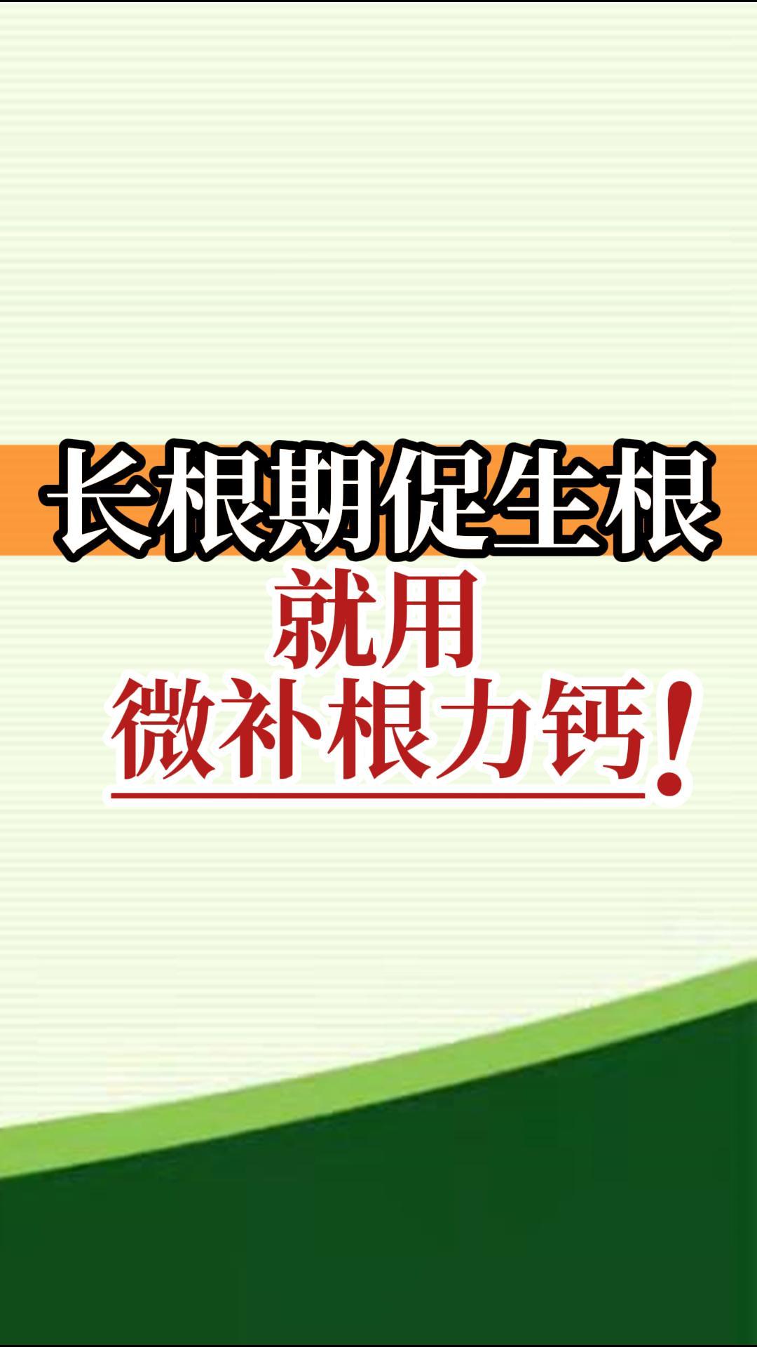 長(cháng)根期促生根就用微補根力鈣！