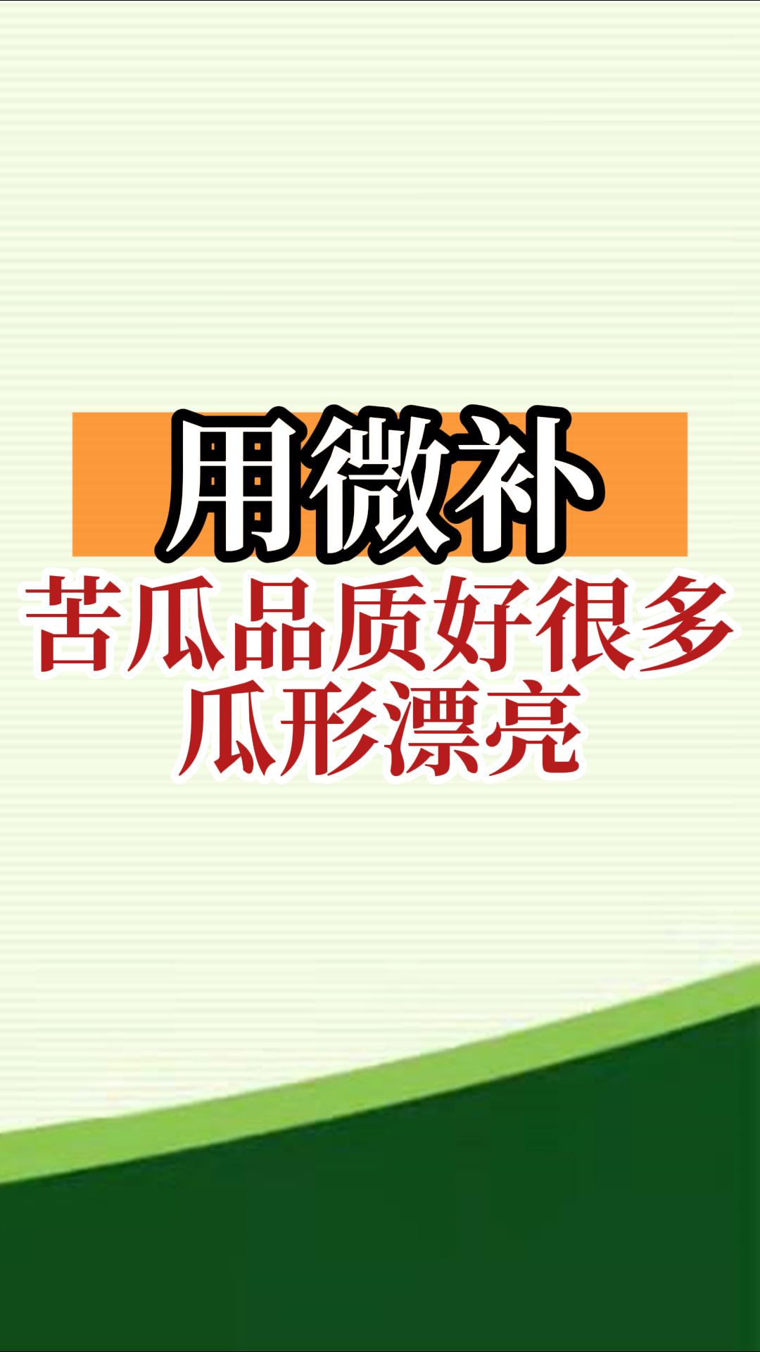 用微補，苦瓜品質(zhì)好很多，瓜形漂亮
