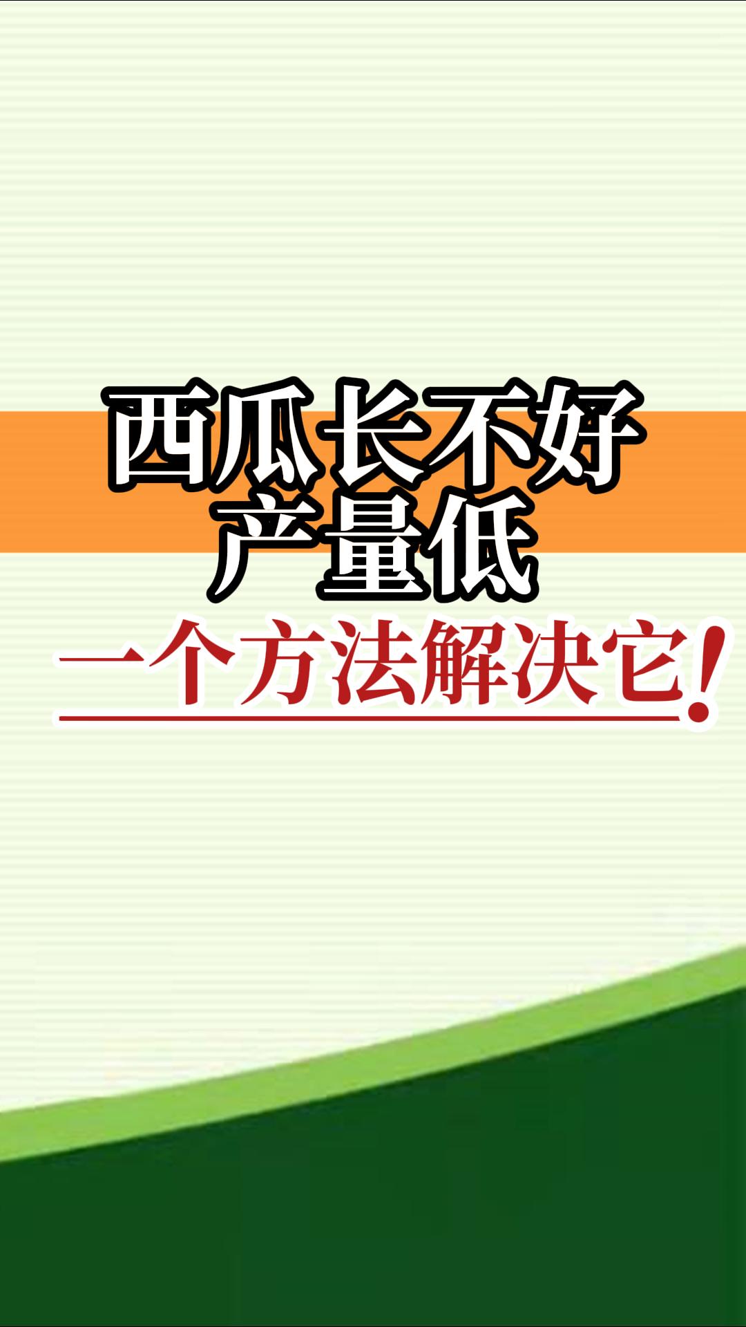 西瓜長(cháng)不好產(chǎn)量低？