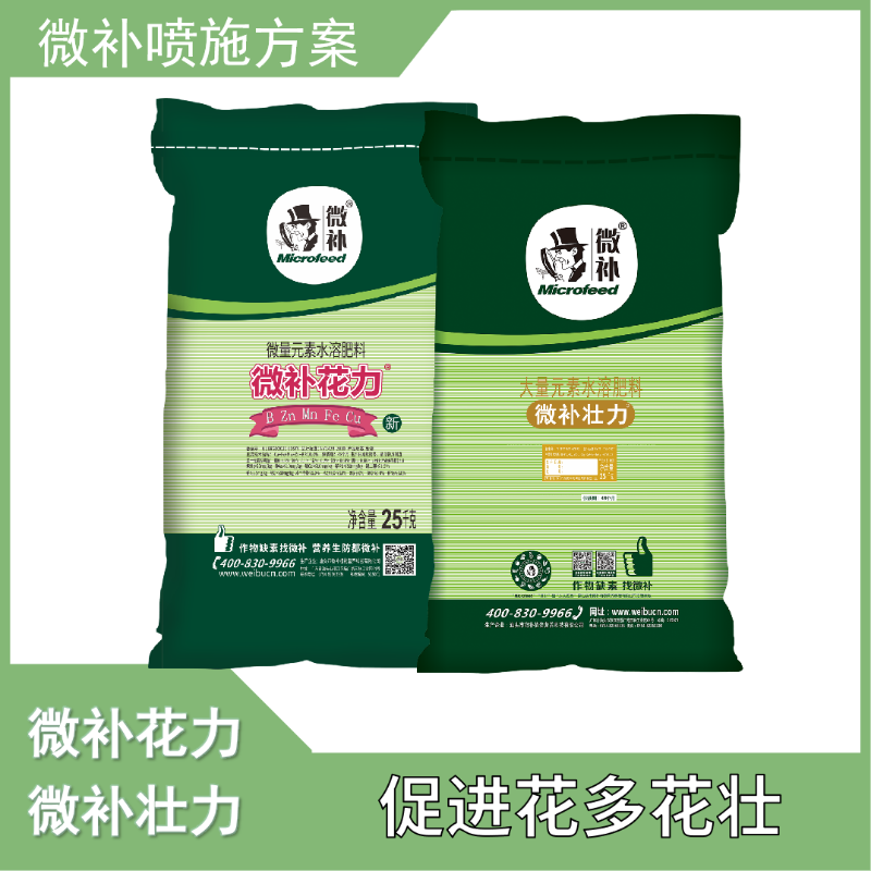 圖片8