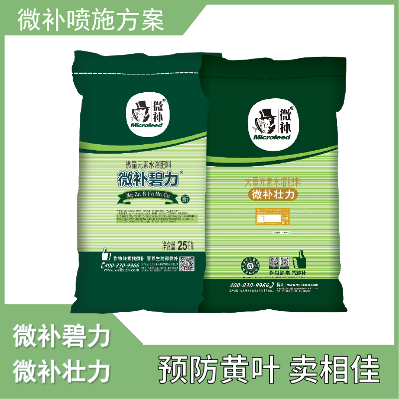 圖片10