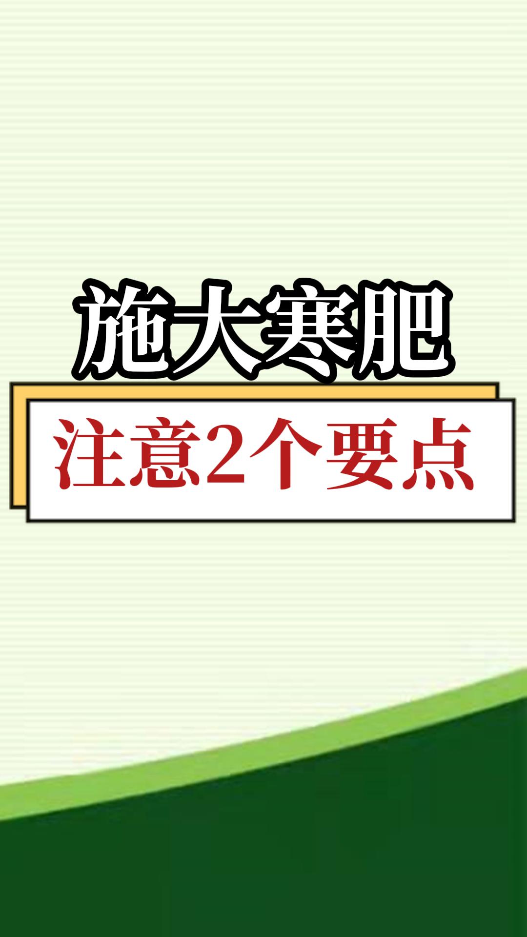 施大寒肥，注意2個要點