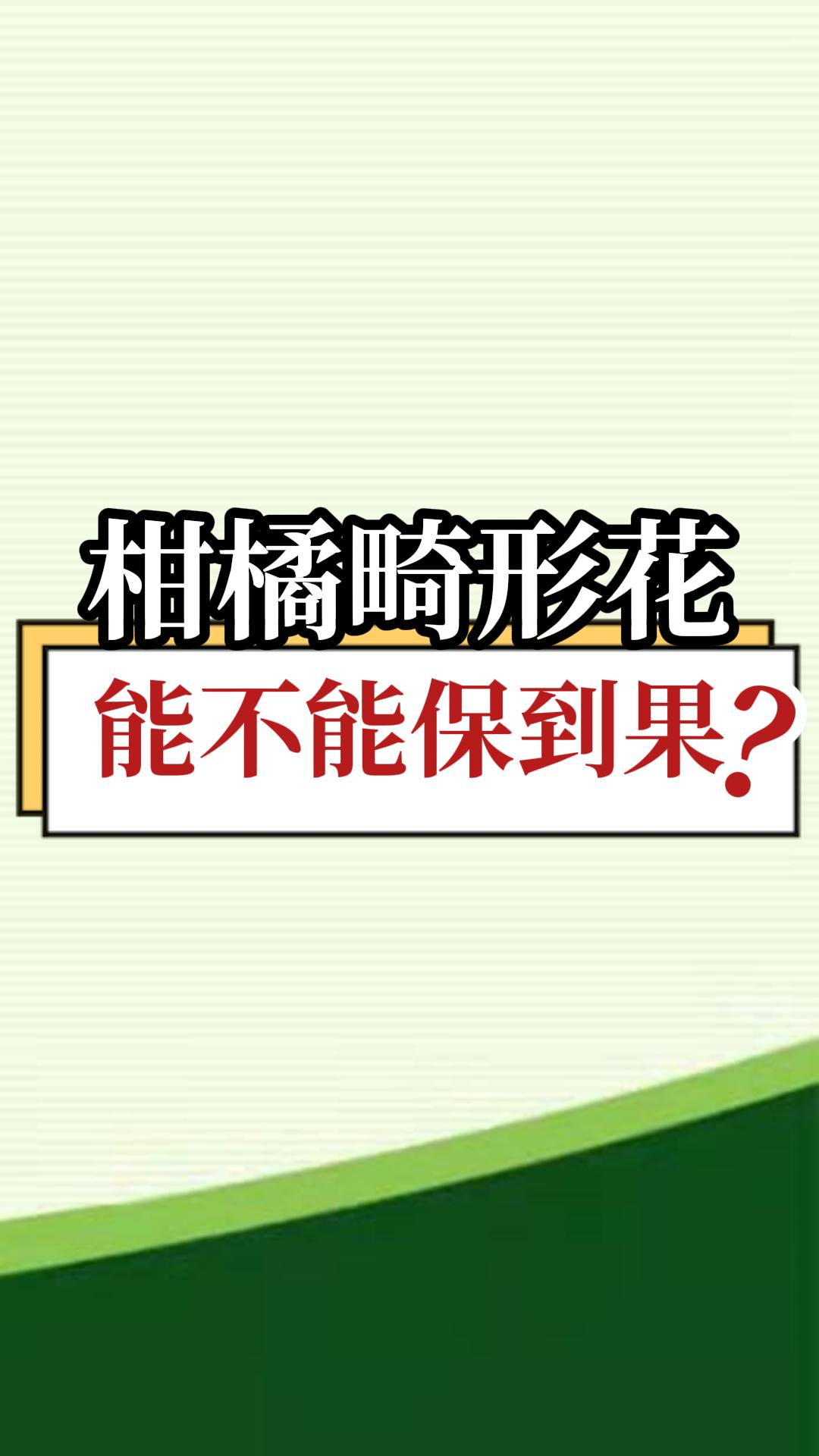 柑橘畸形花能不能保到果？