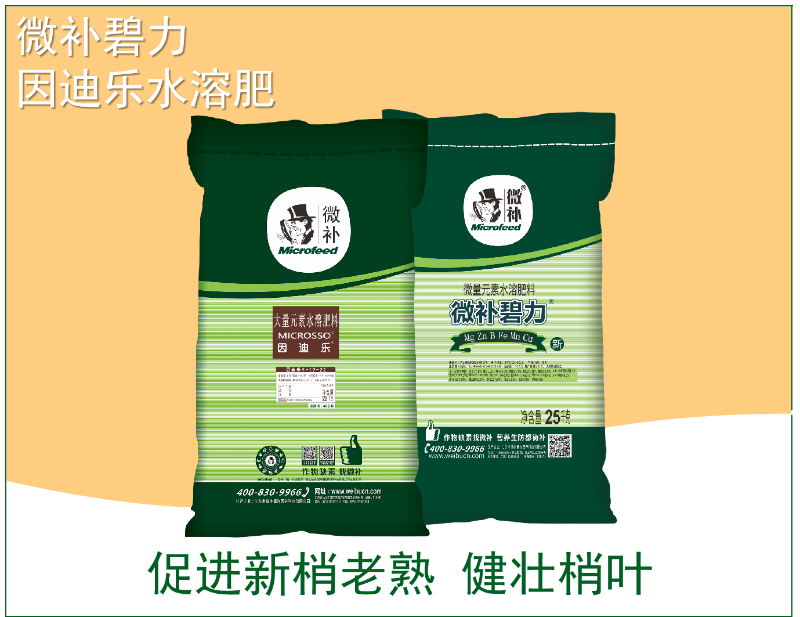 圖片3