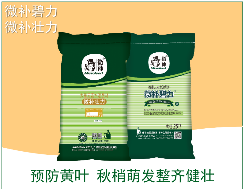 圖片4