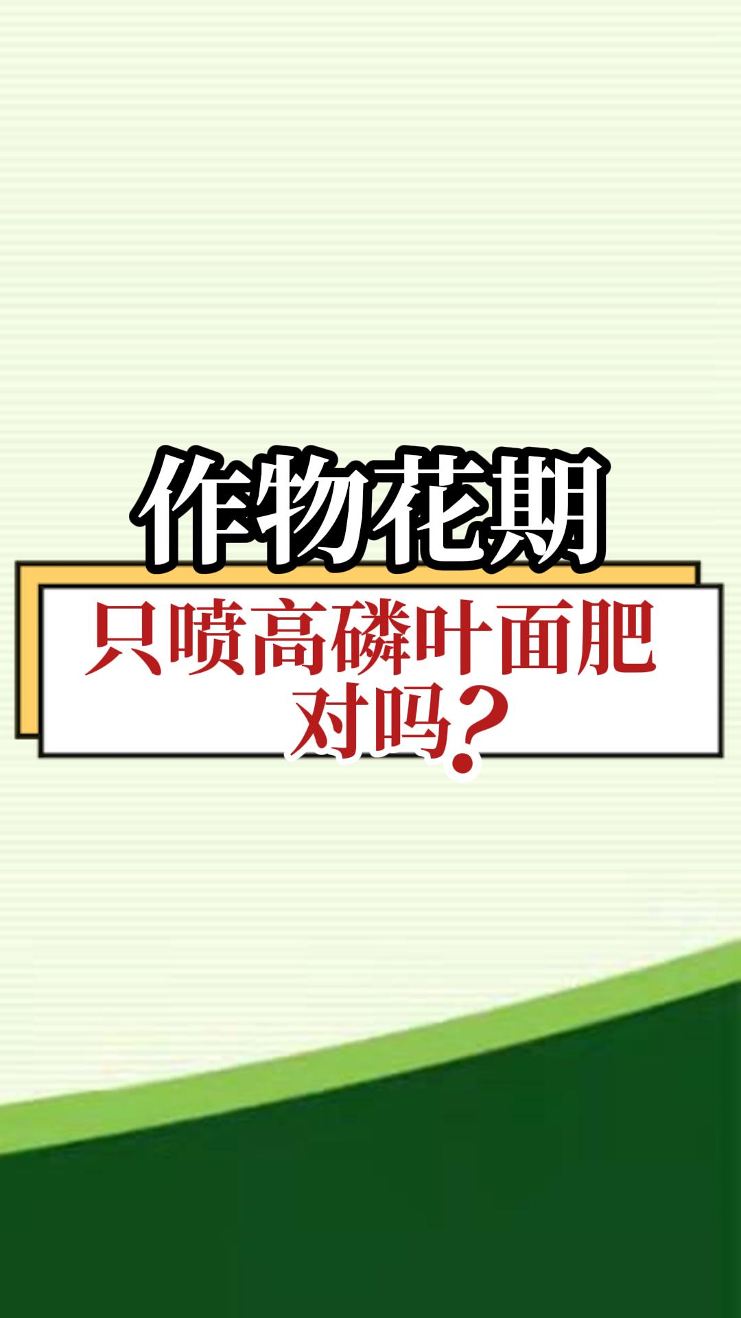 作物花期只噴高磷葉面肥對(duì)嗎