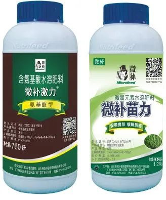 讓作物安全過(guò)冬的實(shí)用小妙招，速看