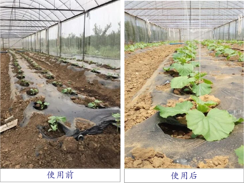 圖片3