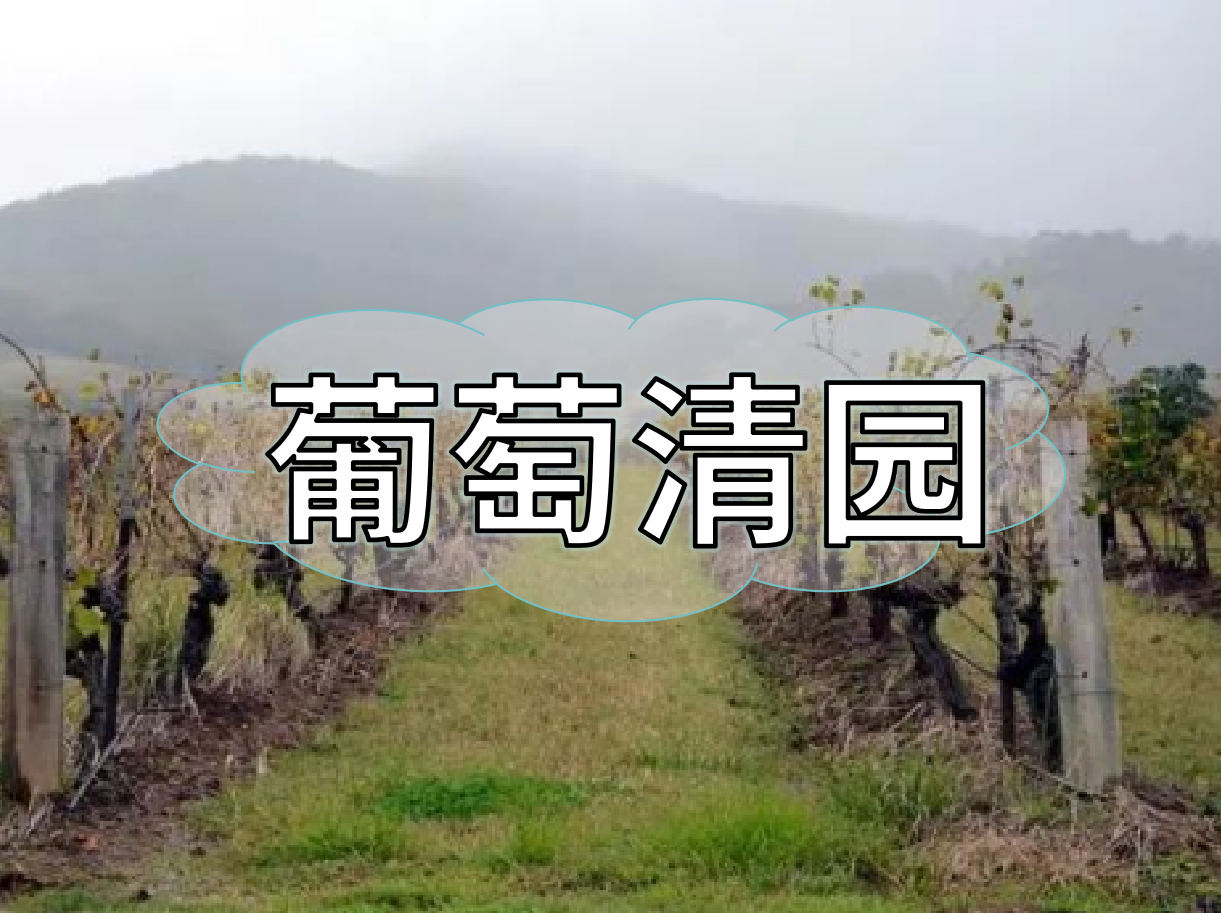 葡萄清園怎么進(jìn)行？