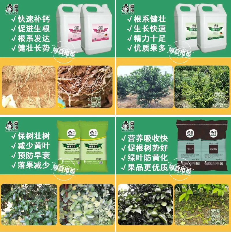圖片1