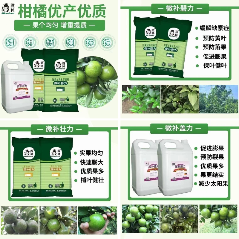 圖片2