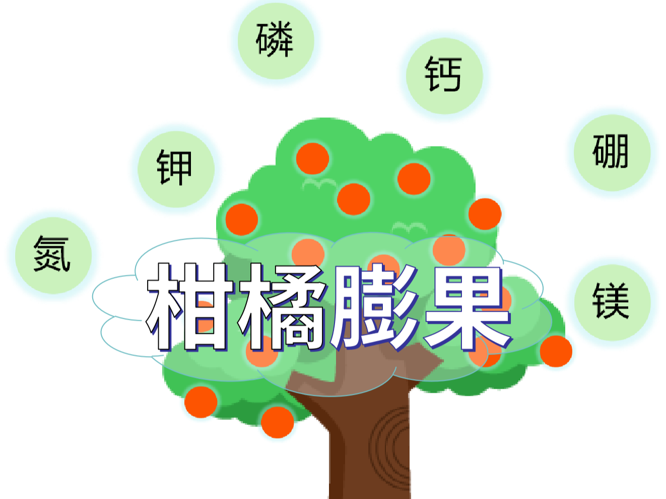 柑橘<i style='color:red'>膨果</i>慢？找準原因，“對癥下藥”