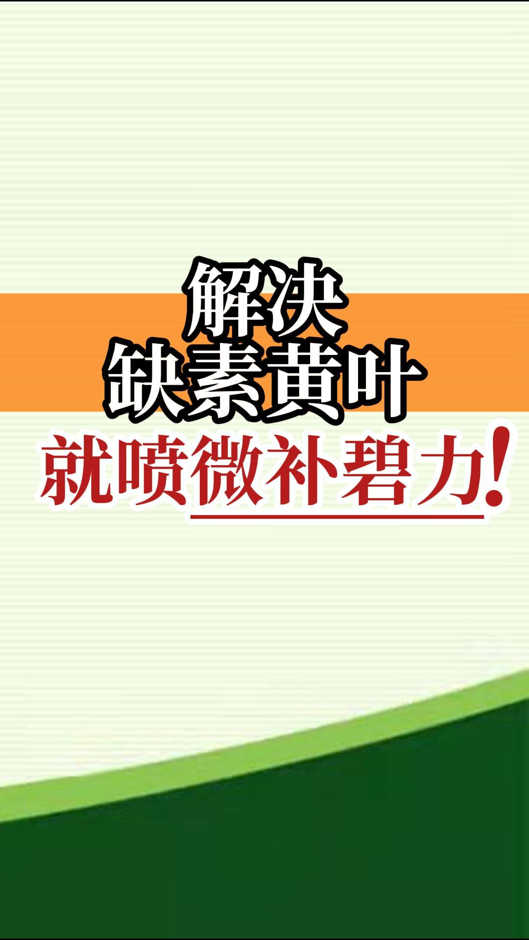 解決缺素黃葉就噴微補碧力！