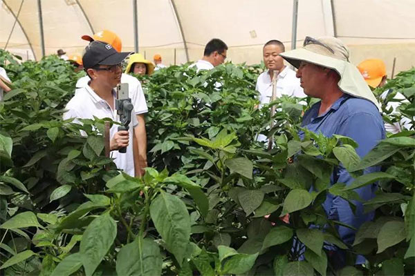 深度思考：我們到底應該向以色列農業(yè)學(xué)習什么？
